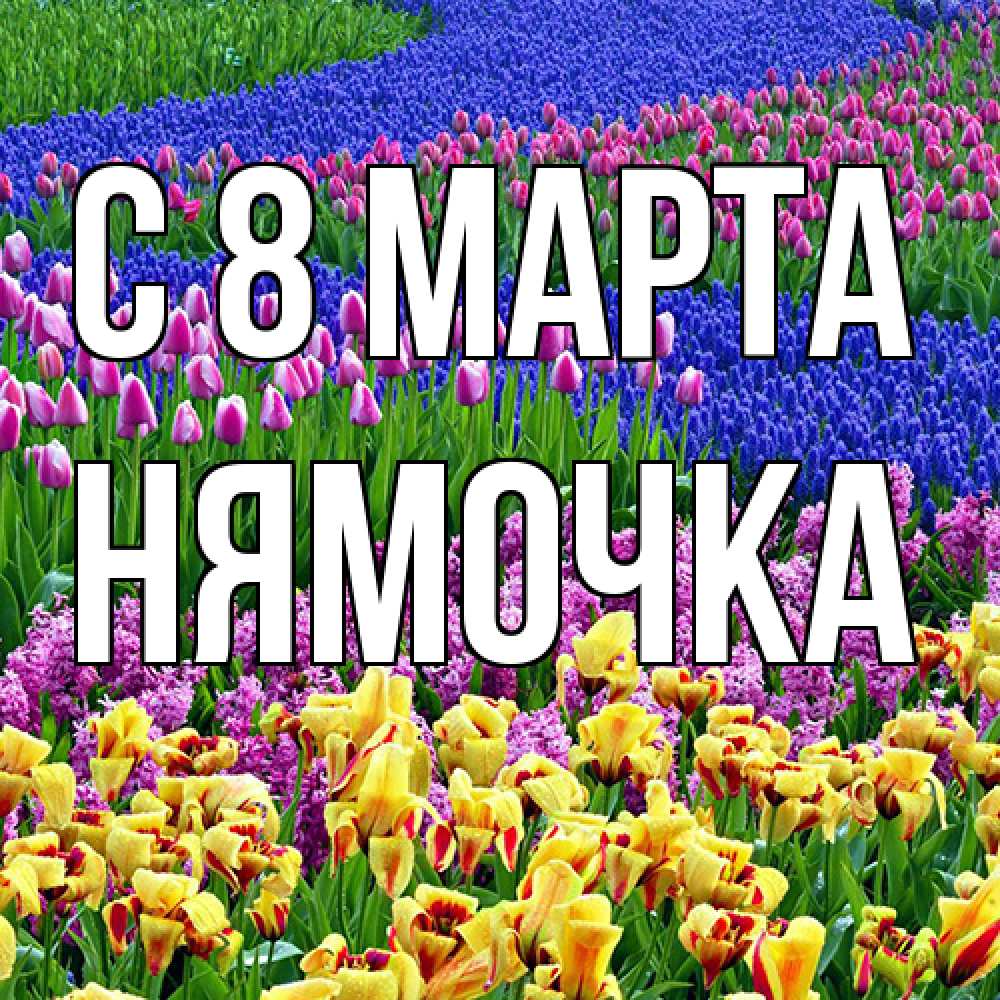 Открытка на каждый день с именем, нямочка C 8 МАРТА цветы Прикольная открытка с пожеланием онлайн скачать бесплатно 