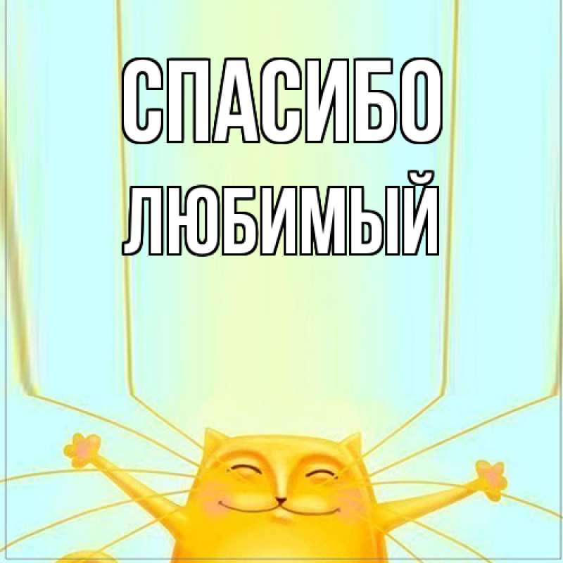 Картинка Спасибо, Любимый
