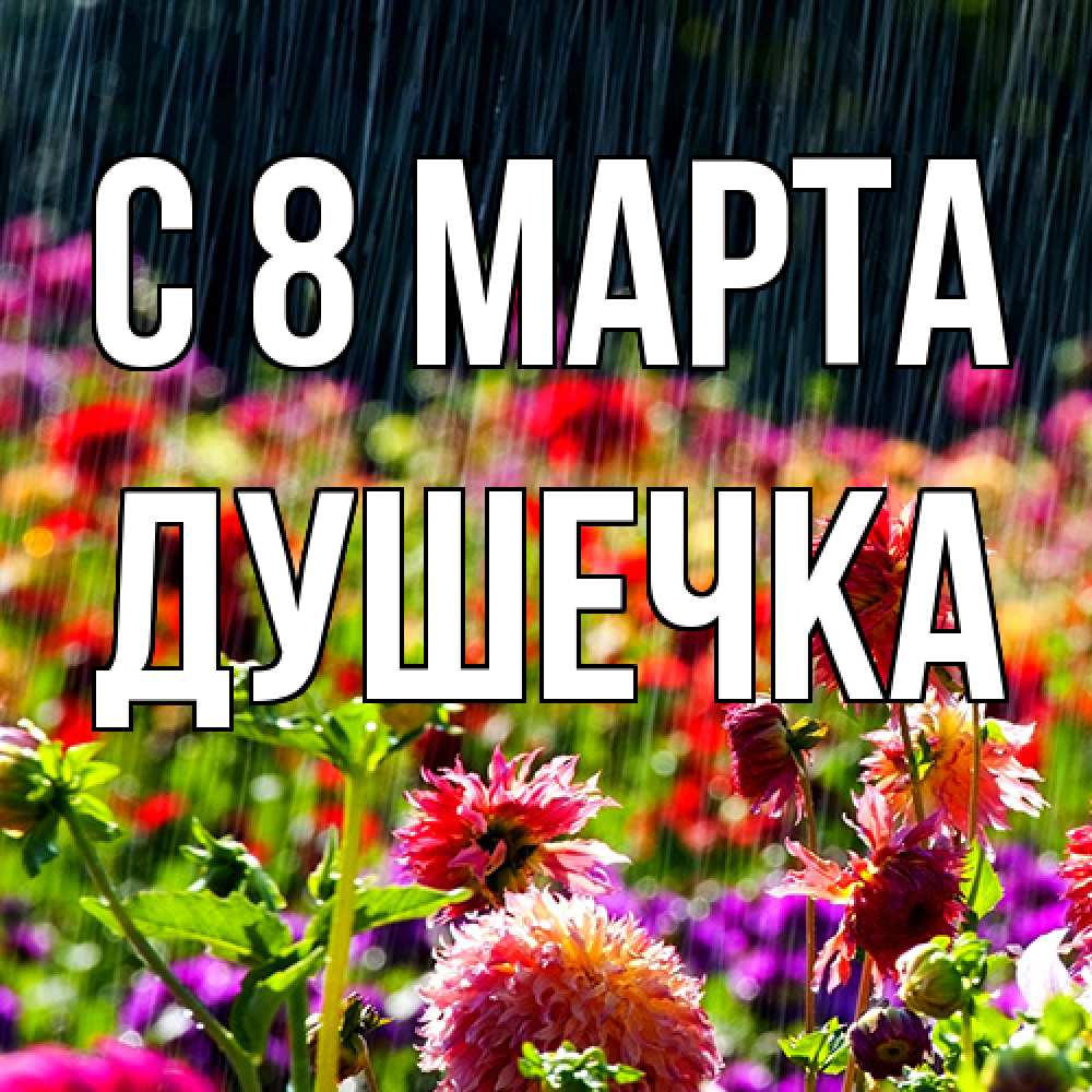 Открытка на каждый день с именем, душечка C 8 МАРТА цветы под дождиком к международному женскому дню Прикольная открытка с пожеланием онлайн скачать бесплатно 