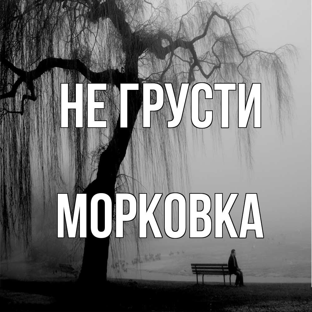 Открытка на каждый день с именем, морковка Не грусти висящие ветки дерева и лавочка под деревом Прикольная открытка с пожеланием онлайн скачать бесплатно 