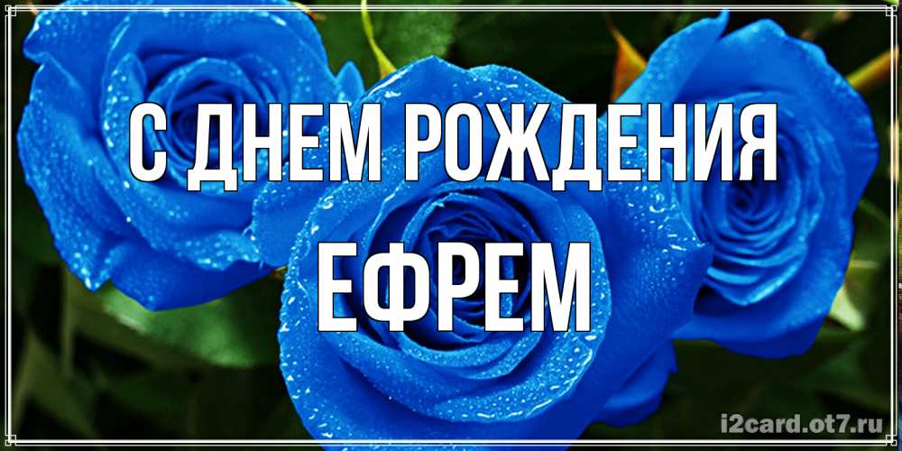 Открытка на каждый день с именем, Ефрем С днем рождения розы с синим цветом Прикольная открытка с пожеланием онлайн скачать бесплатно 