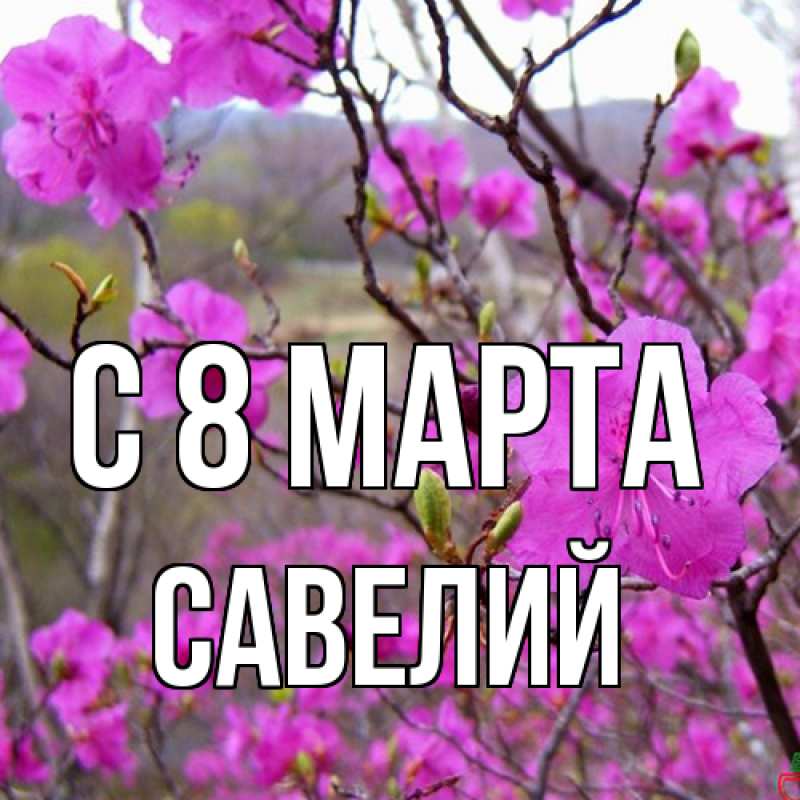 Картинка C 8 МАРТА, Савелий