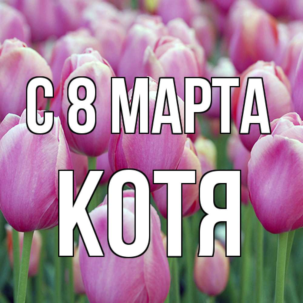 Открытка на каждый день с именем, Котя C 8 МАРТА на международный женский день 3 Прикольная открытка с пожеланием онлайн скачать бесплатно 