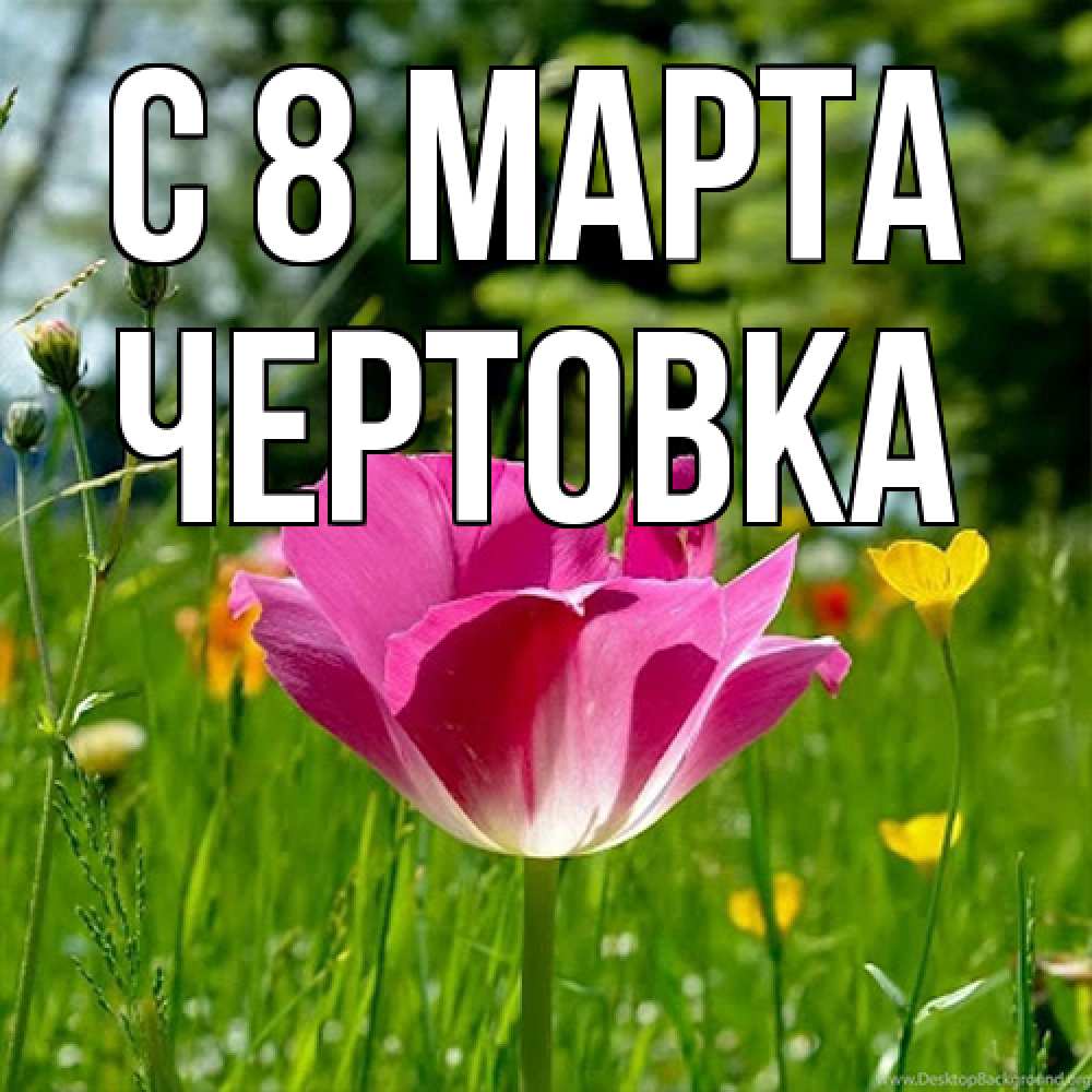 Открытка на каждый день с именем, Чертовка C 8 МАРТА полевые цветы Прикольная открытка с пожеланием онлайн скачать бесплатно 