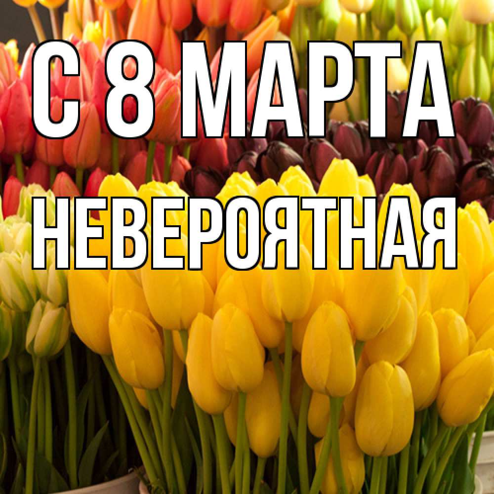 Открытка на каждый день с именем, невероятная C 8 МАРТА цветы Прикольная открытка с пожеланием онлайн скачать бесплатно 