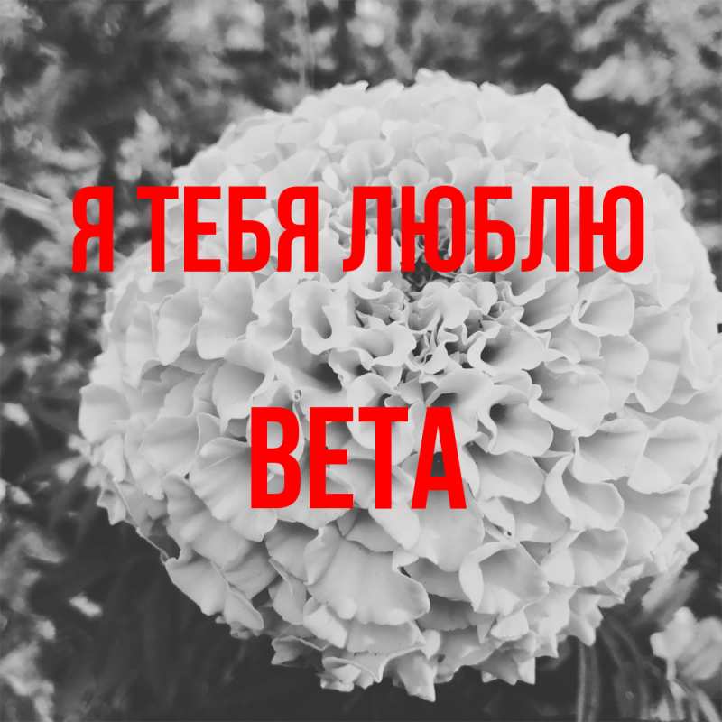 Картинка Я тебя люблю, Вета