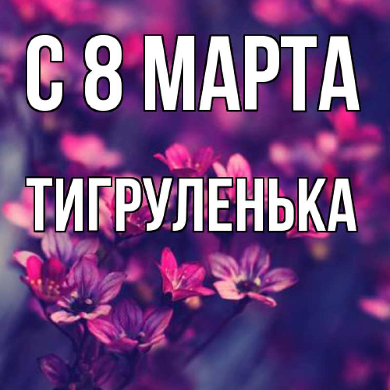 Картинка C 8 МАРТА, Тигpуленька