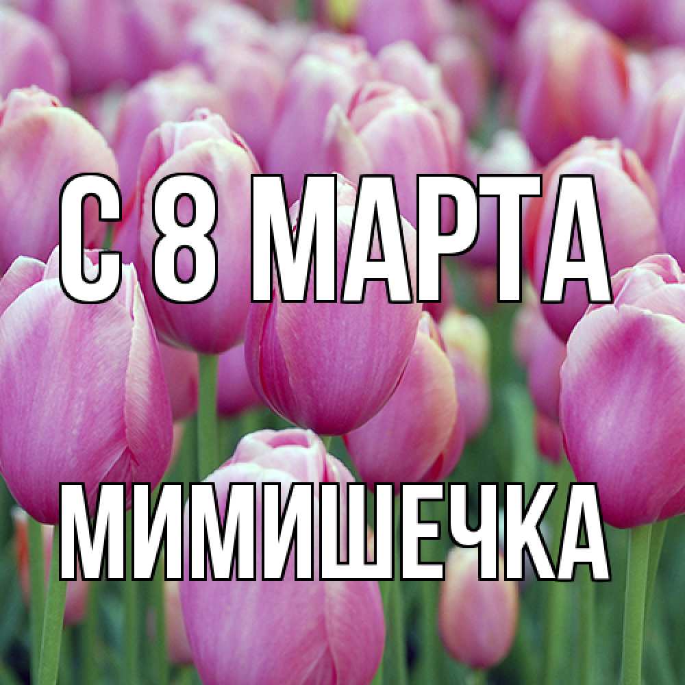 Открытка на каждый день с именем, мимишечка C 8 МАРТА на международный женский день 3 Прикольная открытка с пожеланием онлайн скачать бесплатно 