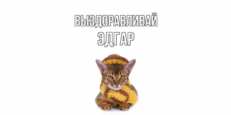 Картинка Выздоравливай, Эдгар