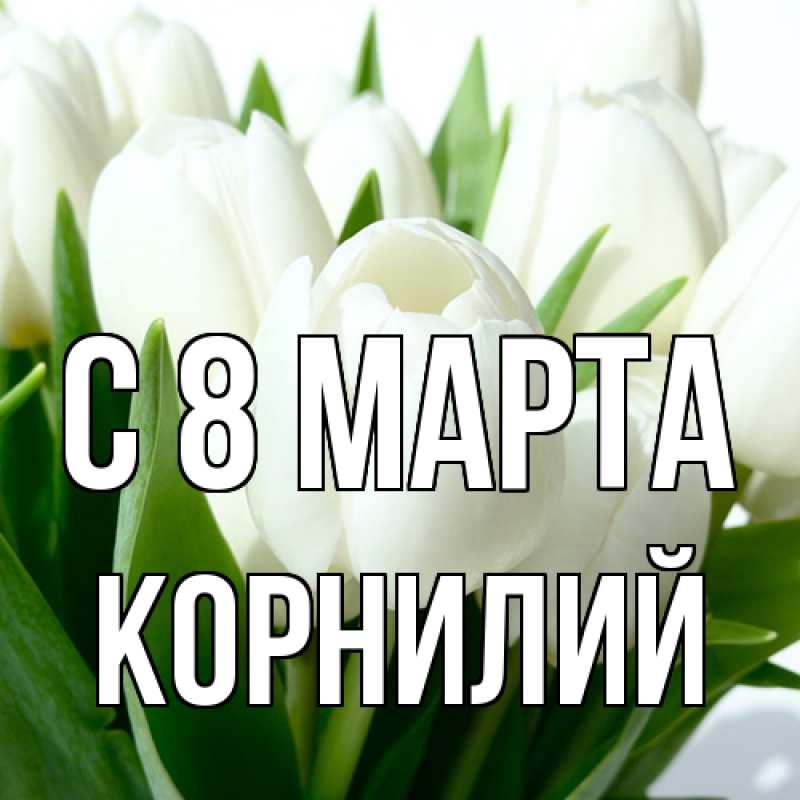 Картинка C 8 МАРТА, Корнилий