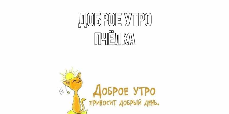 Картинка Доброе утро, Пчёлка