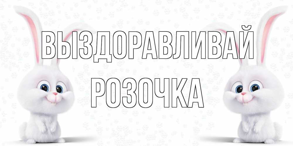 Открытка на каждый день с именем, Розочка Выздоравливай не болей с зайцем Прикольная открытка с пожеланием онлайн скачать бесплатно 