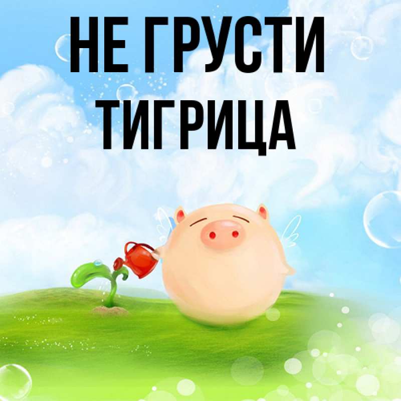 Картинка Не грусти, Тигрица