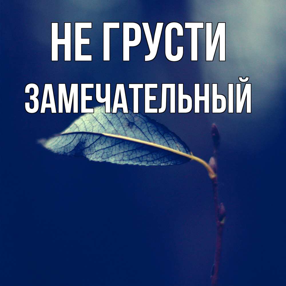 Открытка на каждый день с именем, Замечательный Не грусти растение Прикольная открытка с пожеланием онлайн скачать бесплатно 