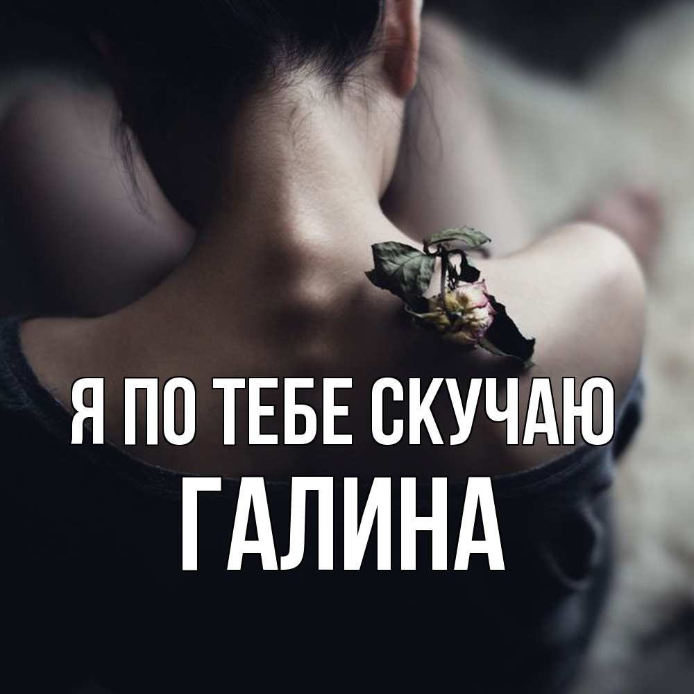 Открытка на каждый день с именем, галина Я по тебе скучаю засох цветок Прикольная открытка с пожеланием онлайн скачать бесплатно 