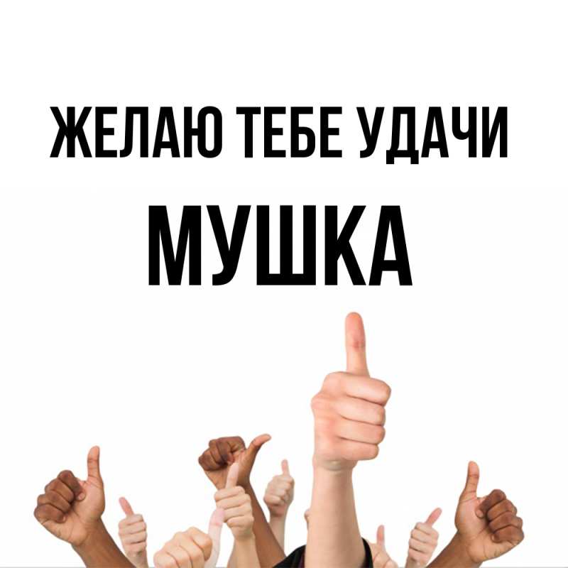 Картинка Желаю тебе удачи, мушка