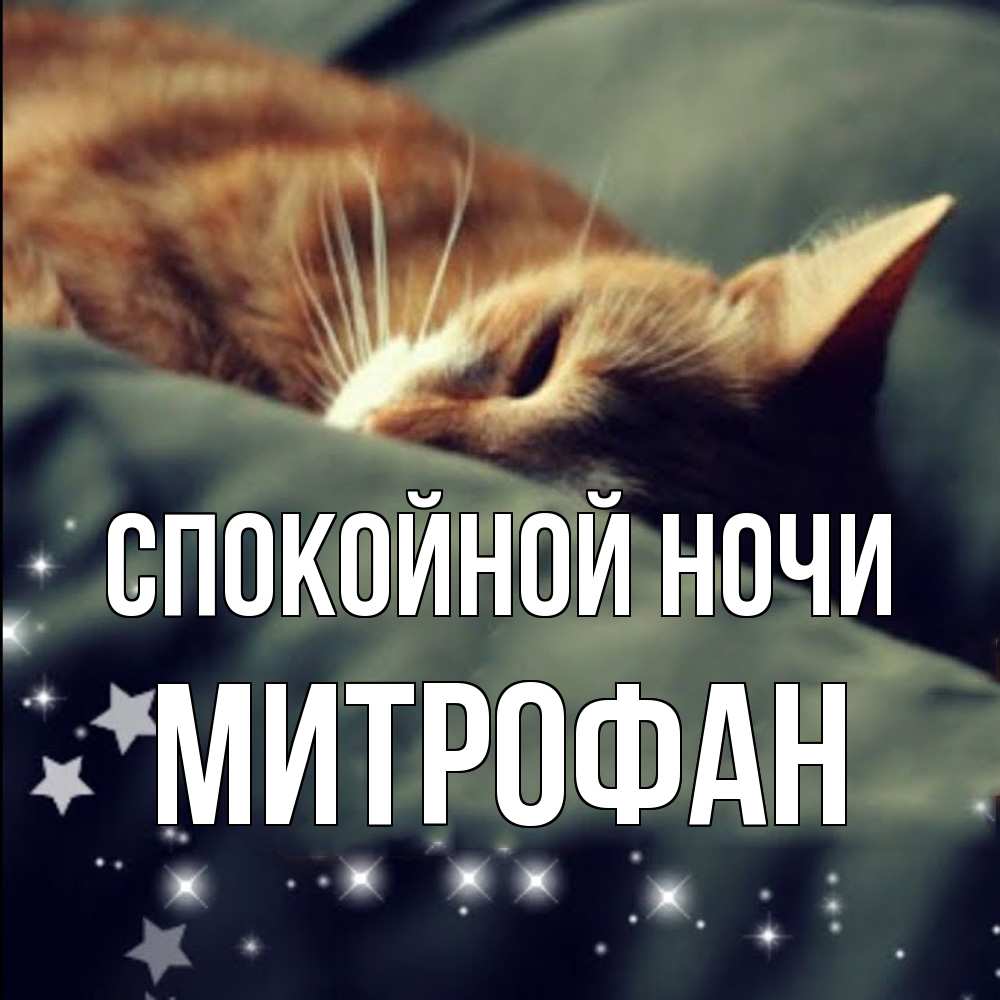 Открытка на каждый день с именем, Митрофан Спокойной ночи кроватка Прикольная открытка с пожеланием онлайн скачать бесплатно 