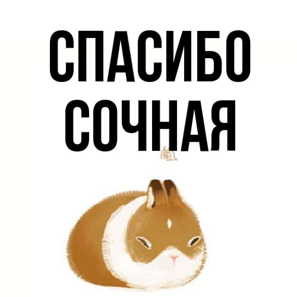 Открытка на каждый день с именем, Сочная Спасибо коричнево белый домашний питомец Прикольная открытка с пожеланием онлайн скачать бесплатно 