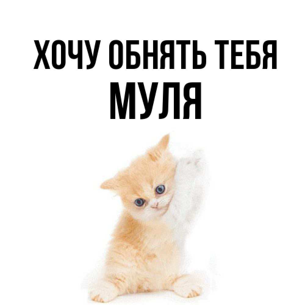 Открытка на каждый день с именем, Муля Хочу обнять тебя я хочу очень скорее обнимаешек Прикольная открытка с пожеланием онлайн скачать бесплатно 