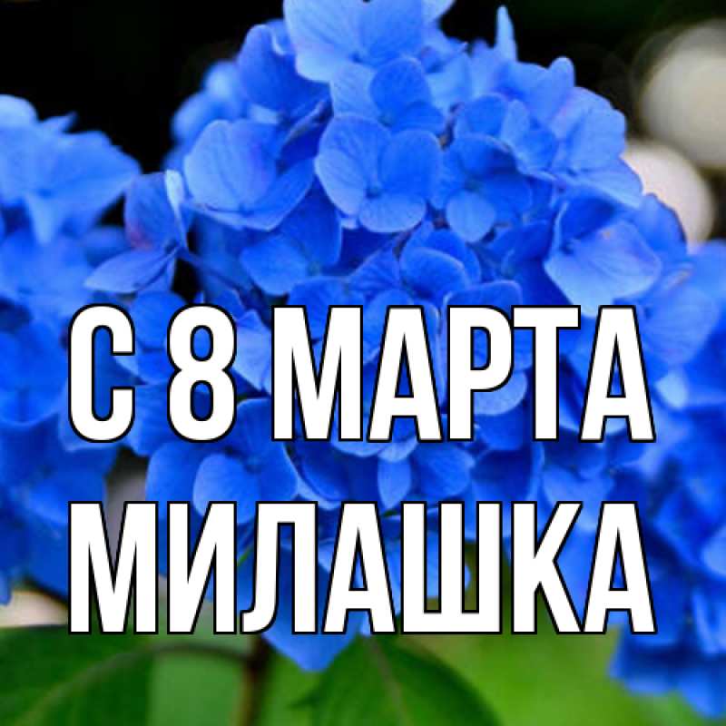 Картинка C 8 МАРТА, Милашка