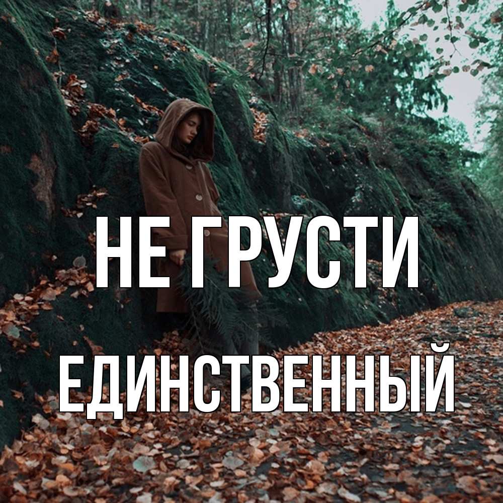Открытка на каждый день с именем, Единственный Не грусти осенний лес Прикольная открытка с пожеланием онлайн скачать бесплатно 