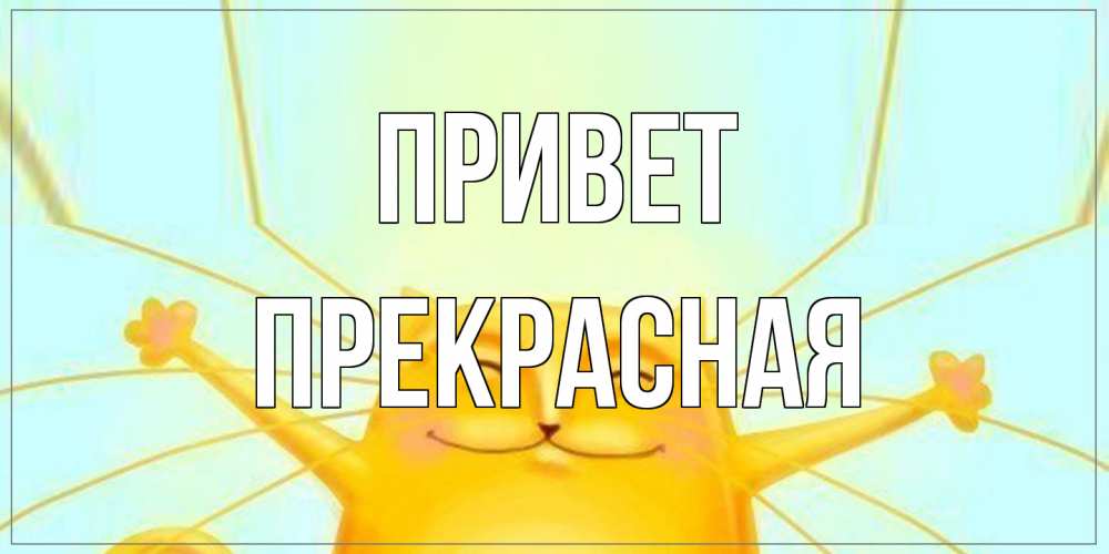 Открытка на каждый день с именем, Пpекpасная Привет кот Прикольная открытка с пожеланием онлайн скачать бесплатно 