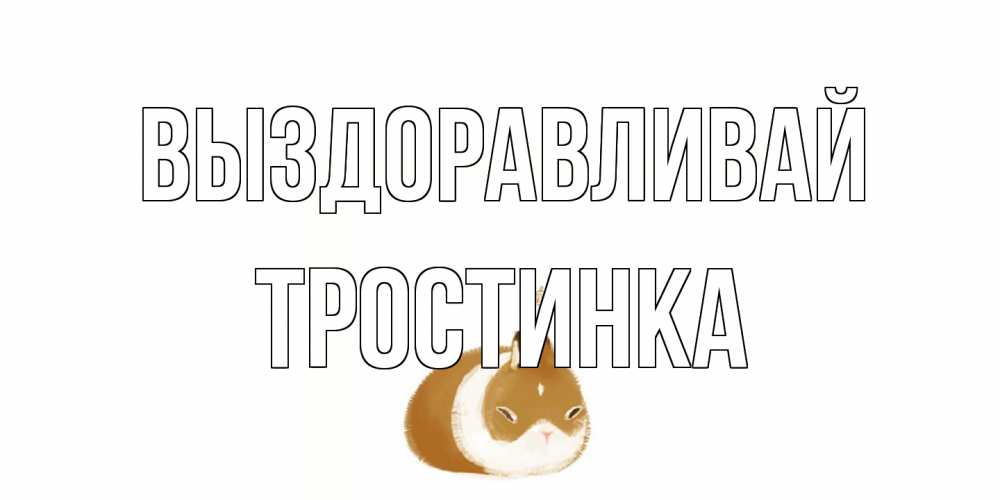 Открытка на каждый день с именем, Тростинка Выздоравливай морская свинка на открытке с пожеланиями не болеть Прикольная открытка с пожеланием онлайн скачать бесплатно 