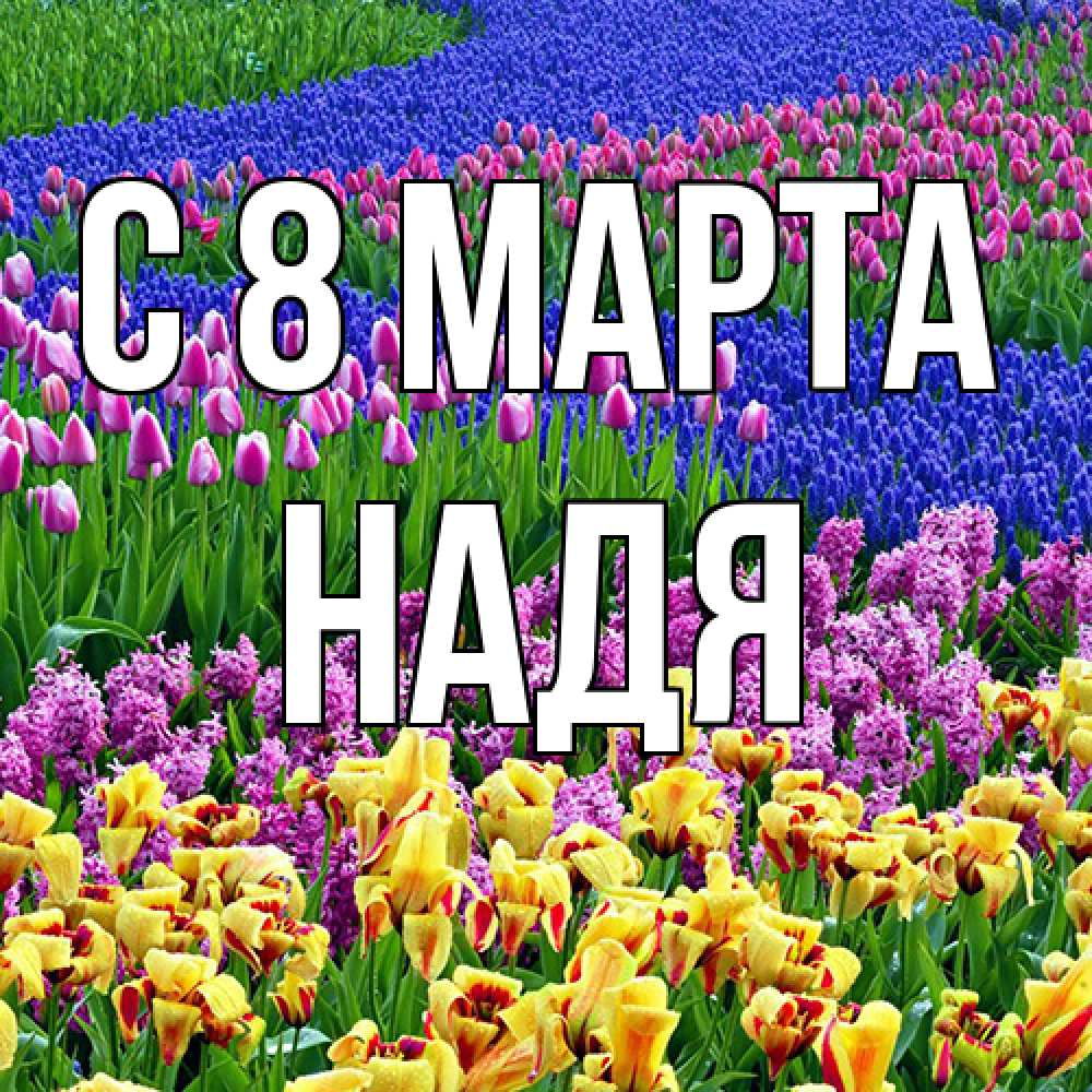 Открытка на каждый день с именем, Надя C 8 МАРТА цветы Прикольная открытка с пожеланием онлайн скачать бесплатно 