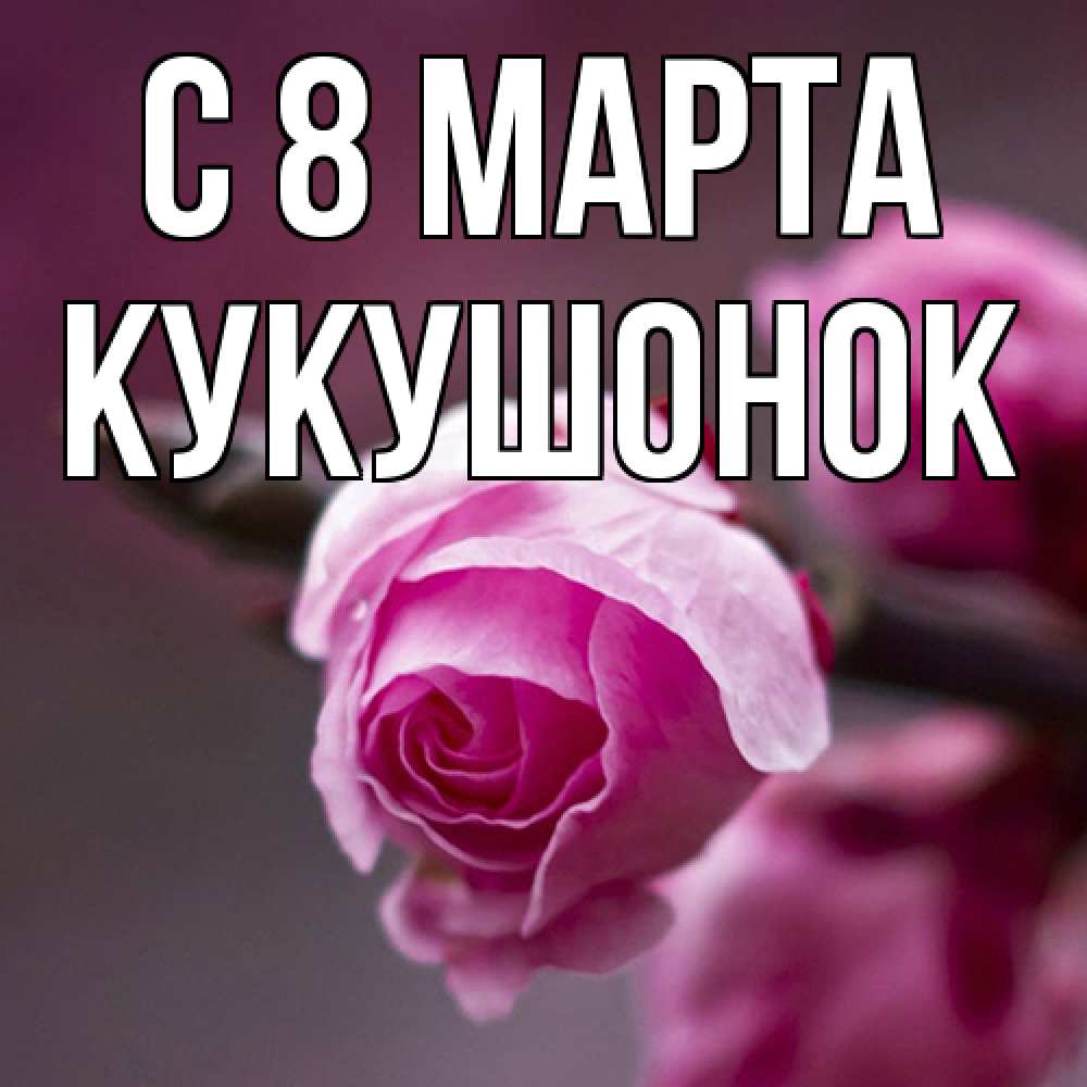 Открытка на каждый день с именем, кукушонок C 8 МАРТА весна Прикольная открытка с пожеланием онлайн скачать бесплатно 