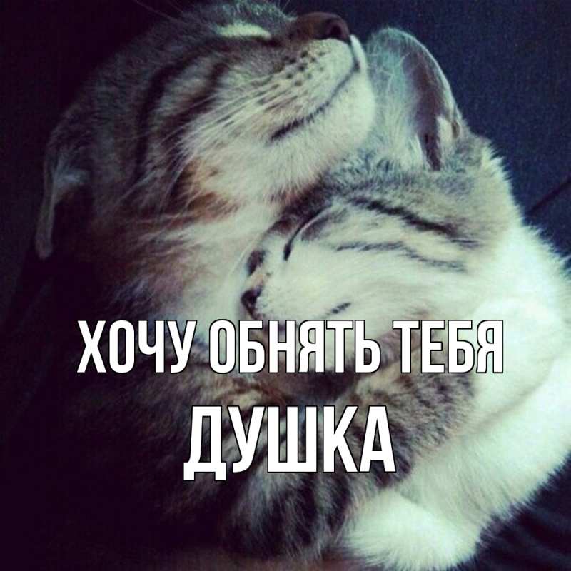 Картинка Хочу обнять тебя, Душка