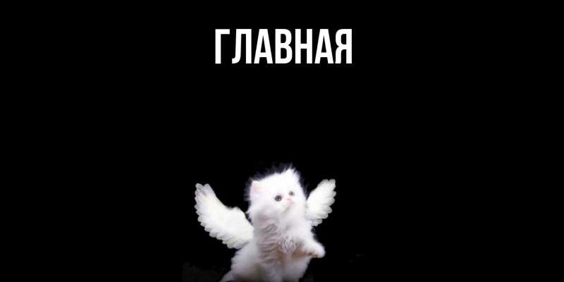 Картинка  с именем , настя