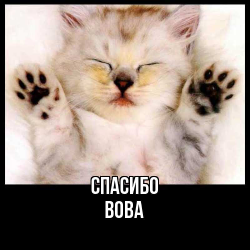 Картинка Спасибо, Вова