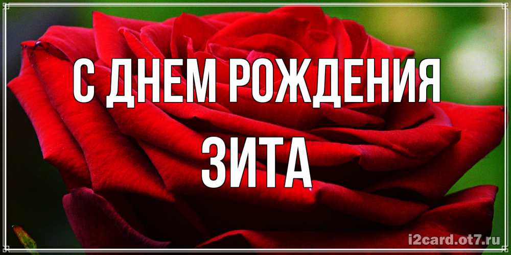 Открытка на каждый день с именем, Зита С днем рождения розочка очень красивая Прикольная открытка с пожеланием онлайн скачать бесплатно 