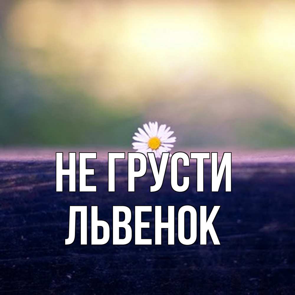 Открытка на каждый день с именем, Львенок Не грусти красота Прикольная открытка с пожеланием онлайн скачать бесплатно 