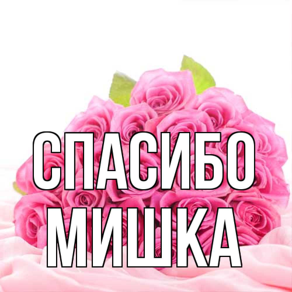 Открытка на каждый день с именем, Мишка Спасибо розовые розы с подписью Прикольная открытка с пожеланием онлайн скачать бесплатно 