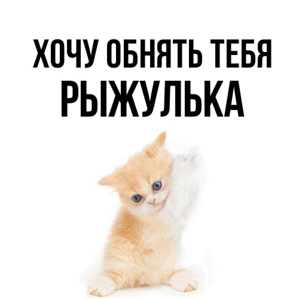 Открытка на каждый день с именем, рыжулька Хочу обнять тебя я хочу очень скорее обнимаешек Прикольная открытка с пожеланием онлайн скачать бесплатно 