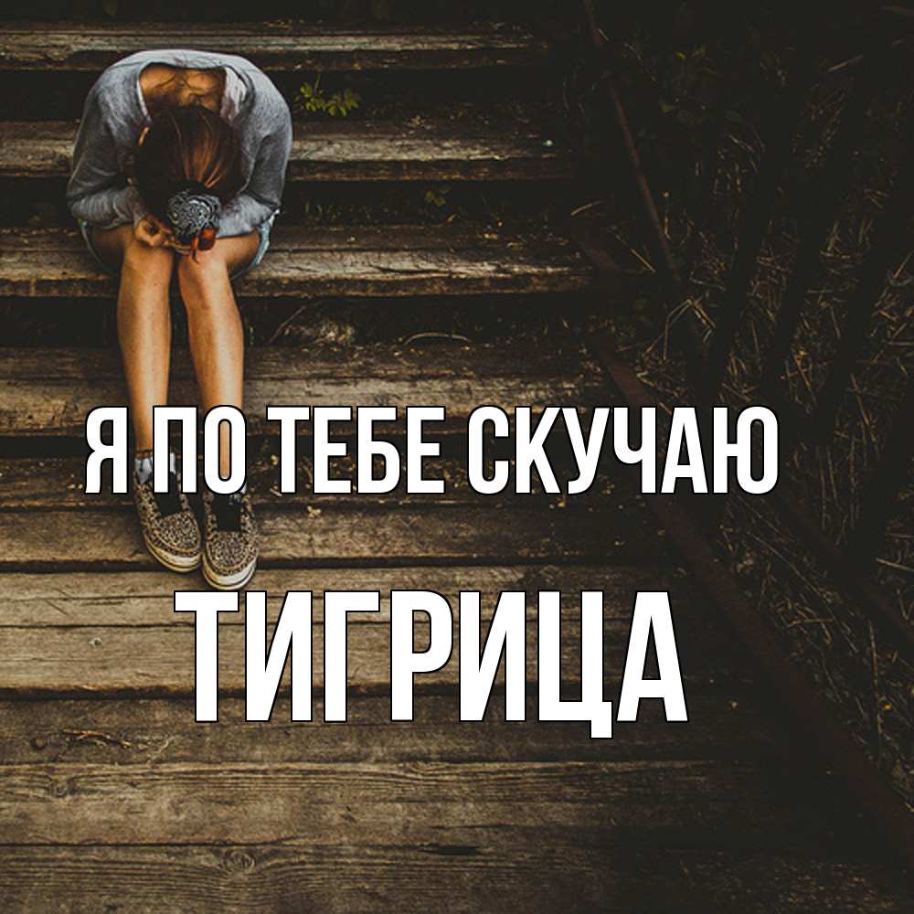 Открытка на каждый день с именем, Тигрица Я по тебе скучаю грущу Прикольная открытка с пожеланием онлайн скачать бесплатно 