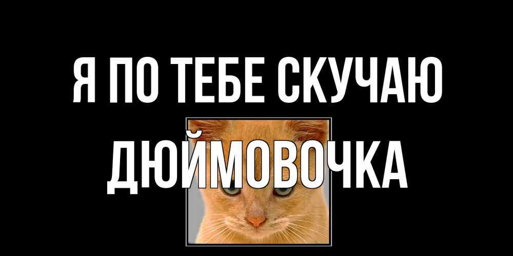 Открытка на каждый день с именем, Дюймовочка Я по тебе скучаю открытки рыжий котенок скучает по тебе Прикольная открытка с пожеланием онлайн скачать бесплатно 
