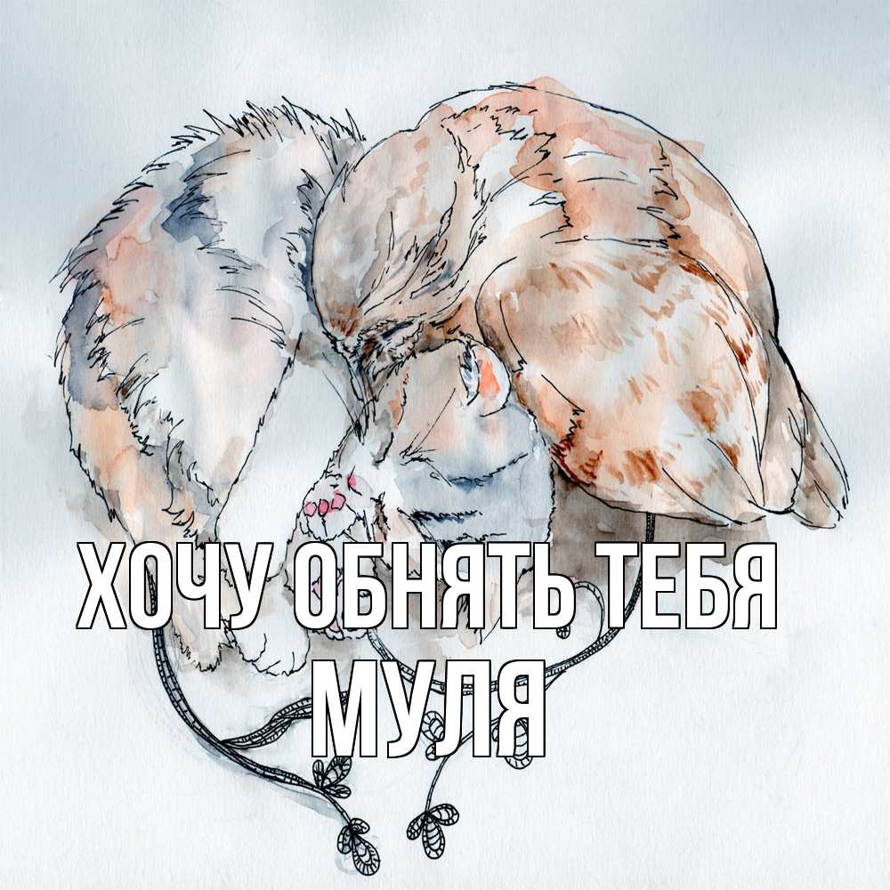 Открытка на каждый день с именем, Муля Хочу обнять тебя можно быть вместе даже когда очень разные Прикольная открытка с пожеланием онлайн скачать бесплатно 