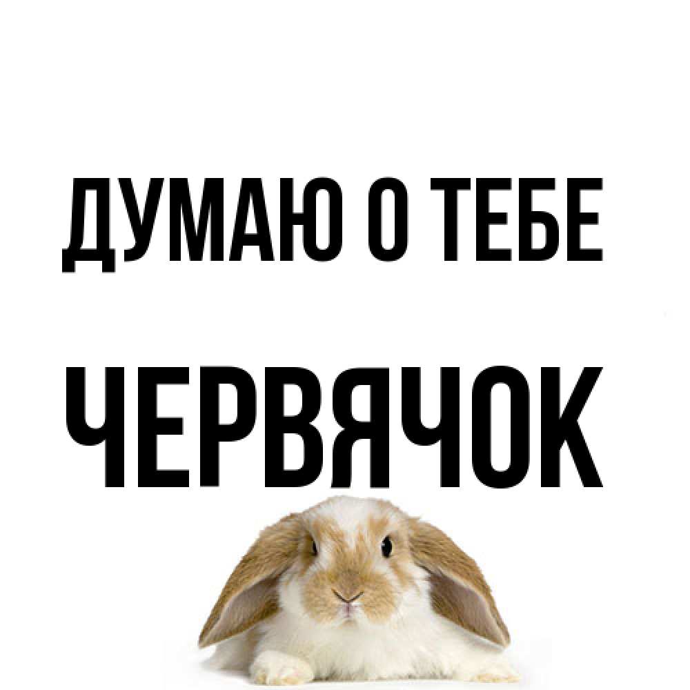 Открытка на каждый день с именем, Червячок Думаю о тебе подписать своими руками онлайн Прикольная открытка с пожеланием онлайн скачать бесплатно 