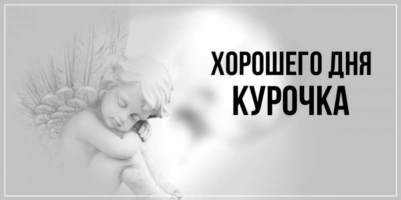 Картинка Хорошего дня, Курочка