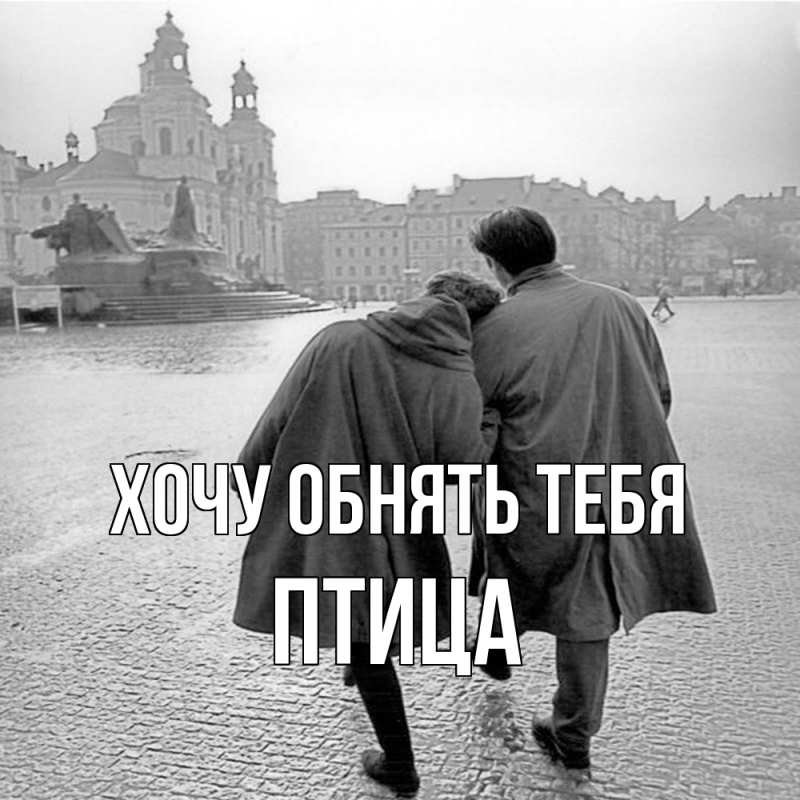 Картинка Хочу обнять тебя, Птица