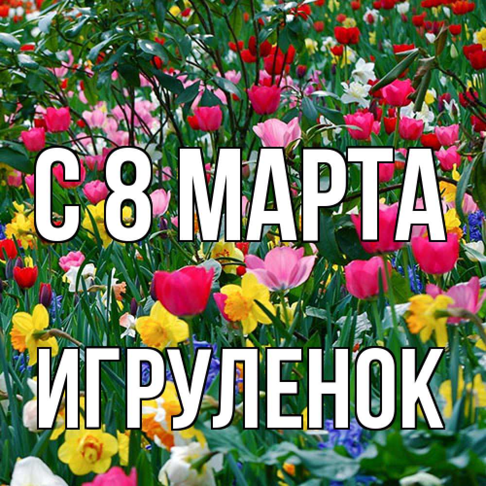 Открытка на каждый день с именем, Игpуленок C 8 МАРТА с международным женским днем поздравления для женщины Прикольная открытка с пожеланием онлайн скачать бесплатно 