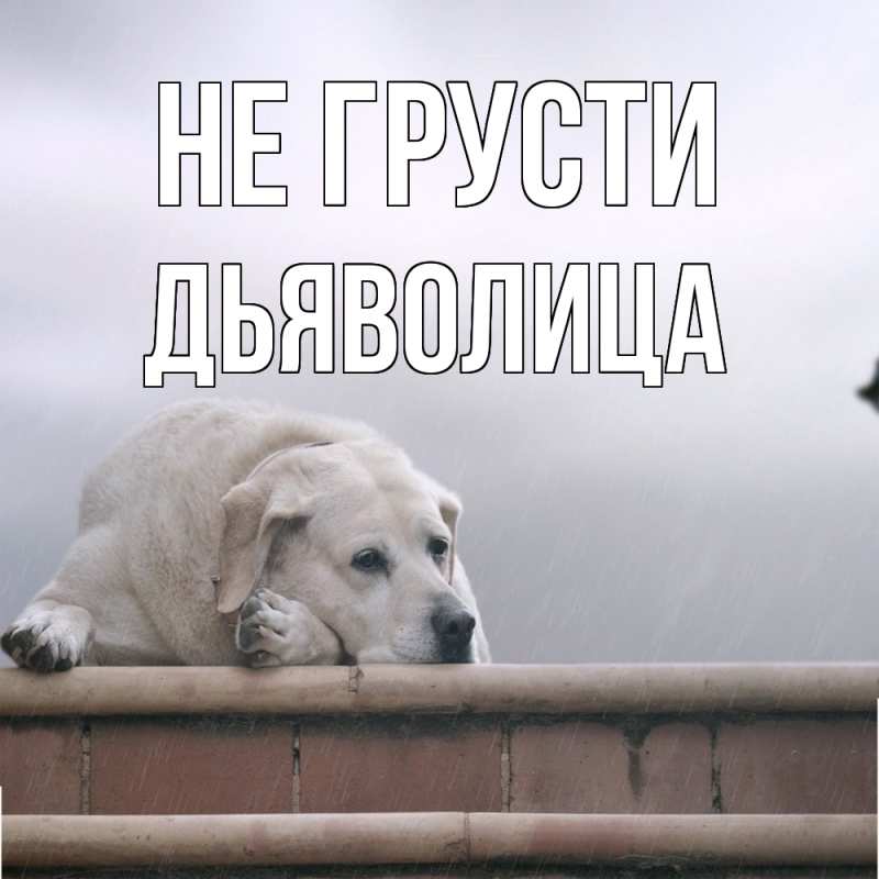 Картинка Не грусти, Дьяволица