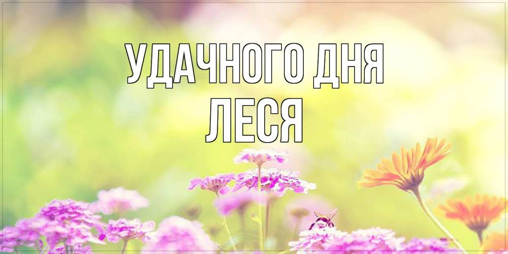 Открытка на каждый день с именем, Леся Удачного дня красивая открытка с летней темой Прикольная открытка с пожеланием онлайн скачать бесплатно 