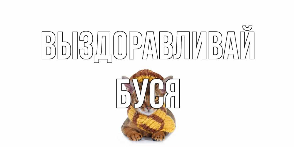 Открытка на каждый день с именем, Буся Выздоравливай родные не болейте Прикольная открытка с пожеланием онлайн скачать бесплатно 