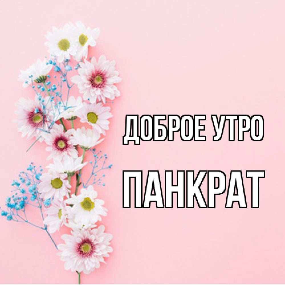 Открытка на каждый день с именем, Панкрат Доброе утро цветы с подписью Прикольная открытка с пожеланием онлайн скачать бесплатно 