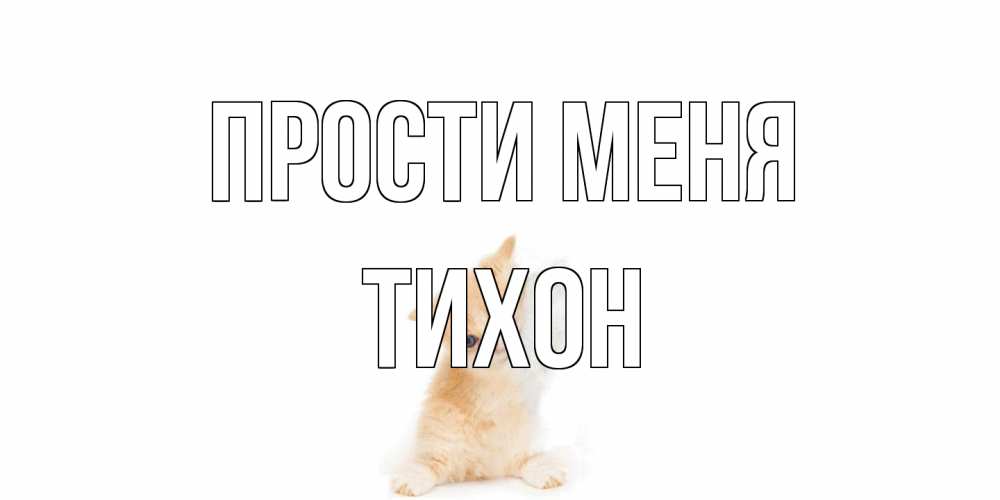Открытка на каждый день с именем, Тихон Прости меня кот Прикольная открытка с пожеланием онлайн скачать бесплатно 