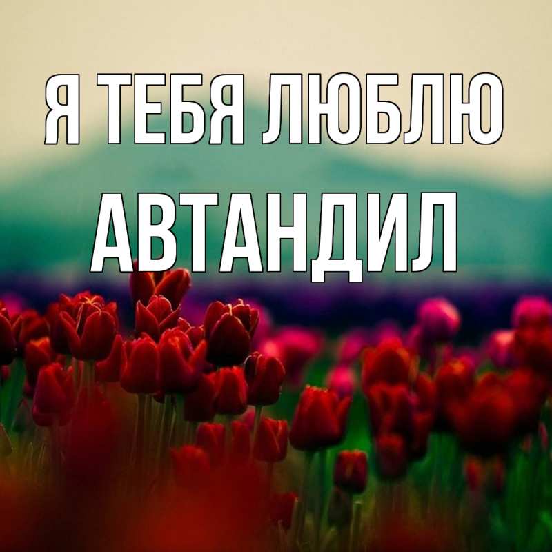 Картинка Я тебя люблю, Автандил