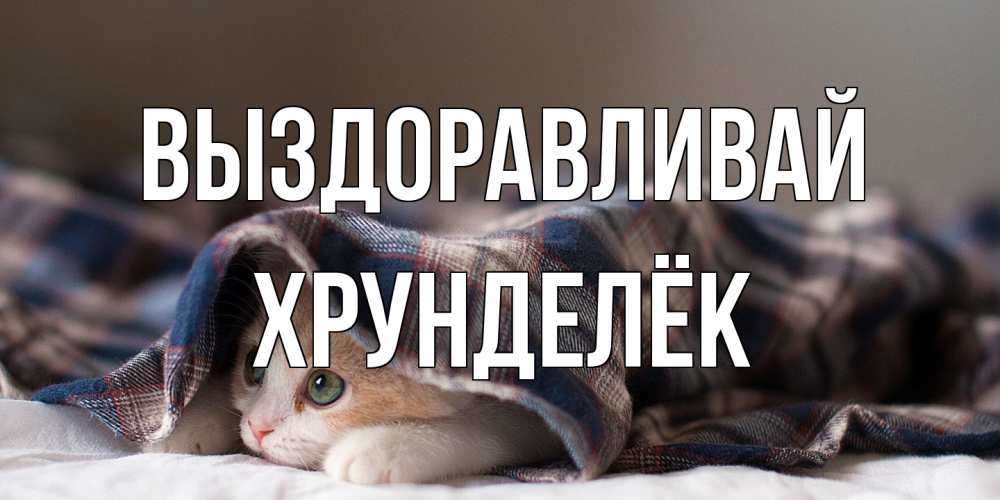 Открытка на каждый день с именем, Хрунделёк Выздоравливай не болейте с котиком Прикольная открытка с пожеланием онлайн скачать бесплатно 